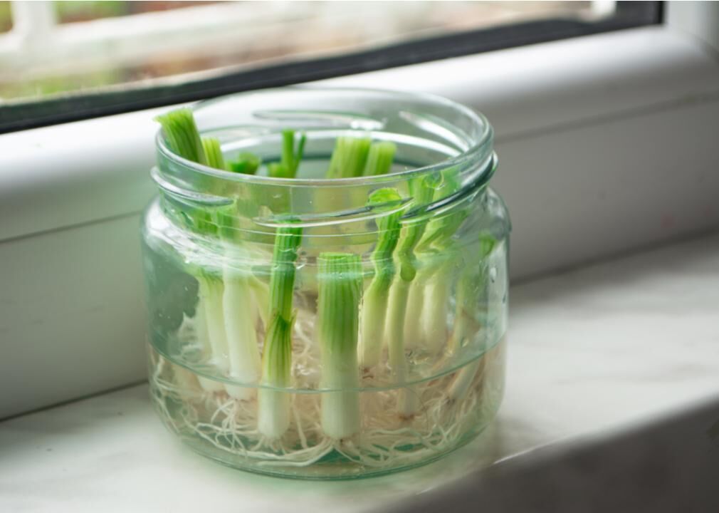 Store green onions in a glass of water